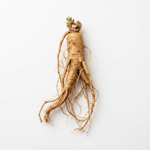 Extractos de Guaraná y Ginseng